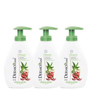 (BUNDLE OF 3) DERMOMED HAND WASH ALOE & POMEGRANATE 300ML